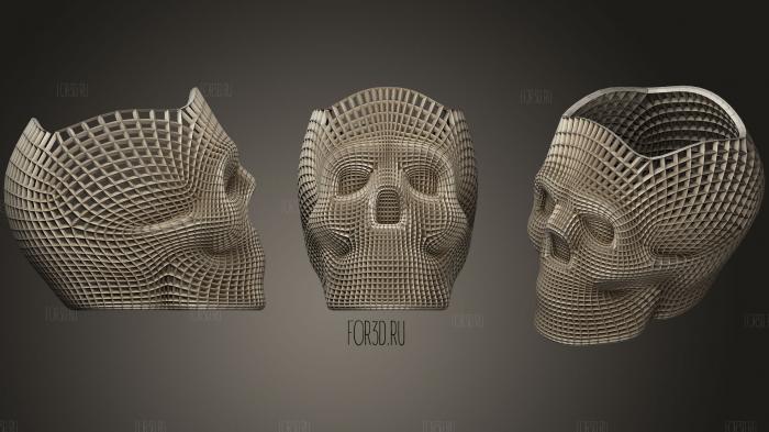 Skull Study1 3d stl модель для ЧПУ